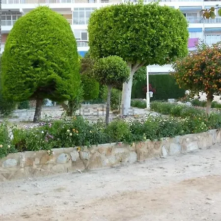 4 Personas Urbanizacion Habaneras Torrevieja